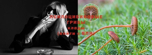 сатива Лихославль