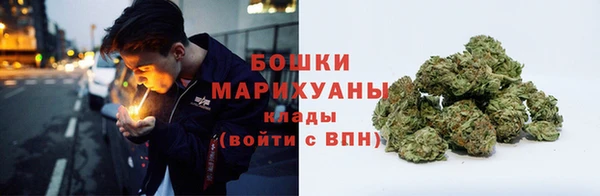 сатива Лихославль