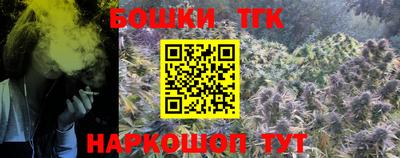 крисы Дубна