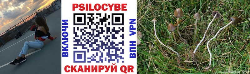 Псилоцибиновые грибы Psilocybe Заринск