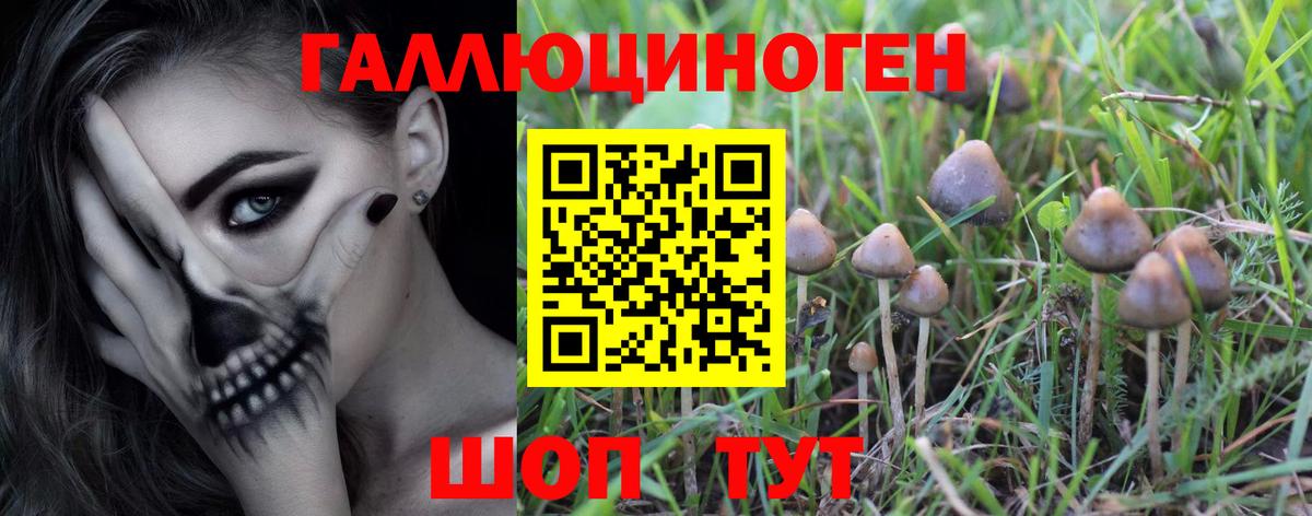 Заринск  Галлюциногенные грибы Psilocybine cubensis  Галлюциногенные грибы ЛСД  Вход с VPN 
